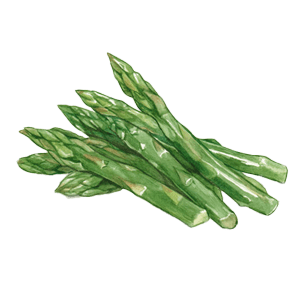 野菜類